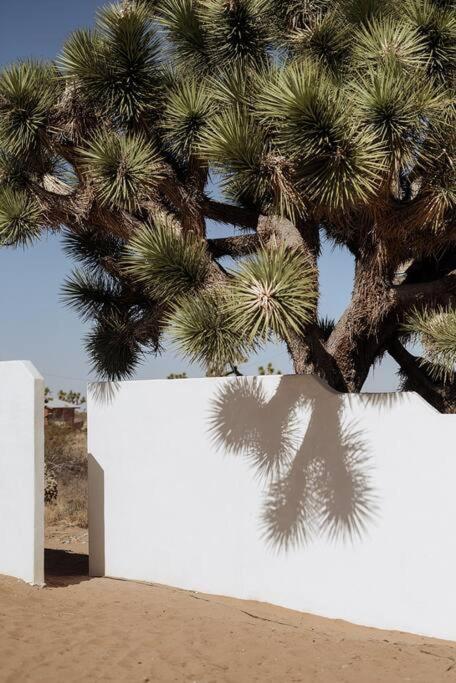 Le Chacuel Villa Joshua Tree Bagian luar foto